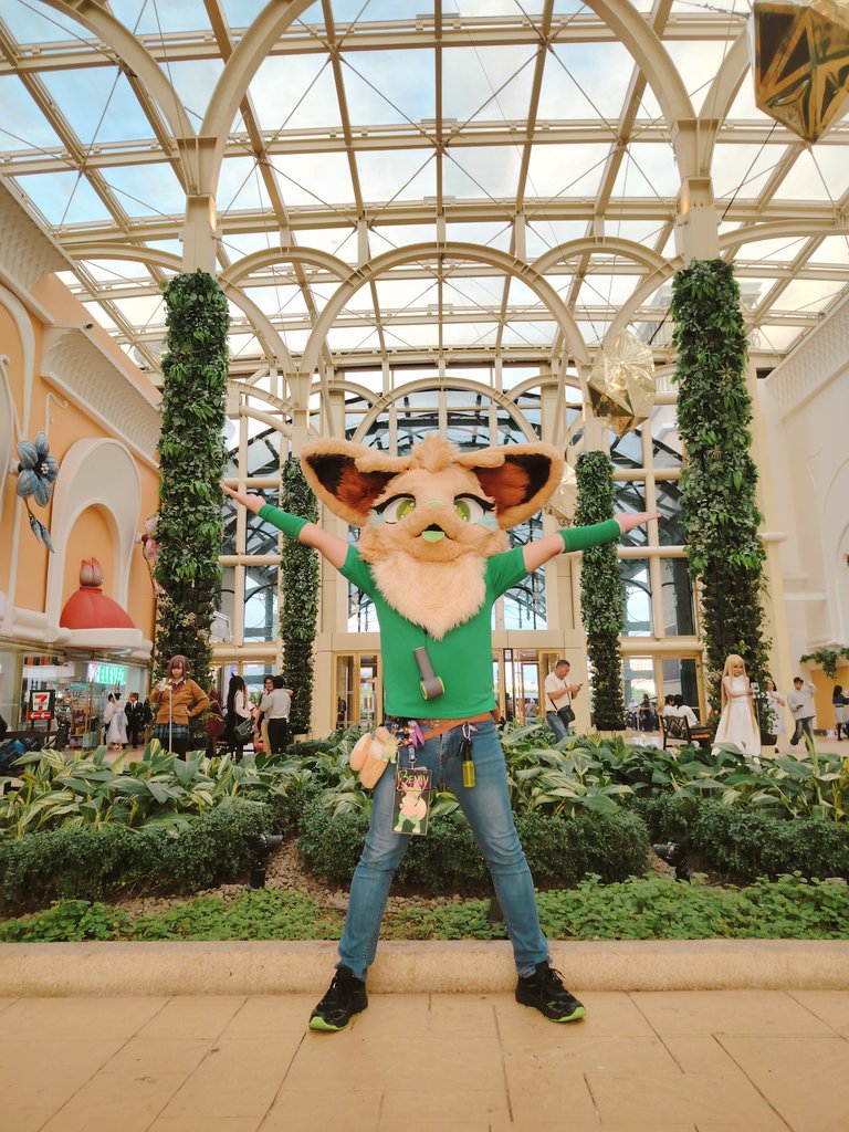 BeanyCutePaws's tweet photo. Posting some other stuff from #CosMeet2025 doing silly cute stuff 💚

#Eevee #BeanyCutePaws #Pokemon #Furry https://t.co/66Db1d56ac