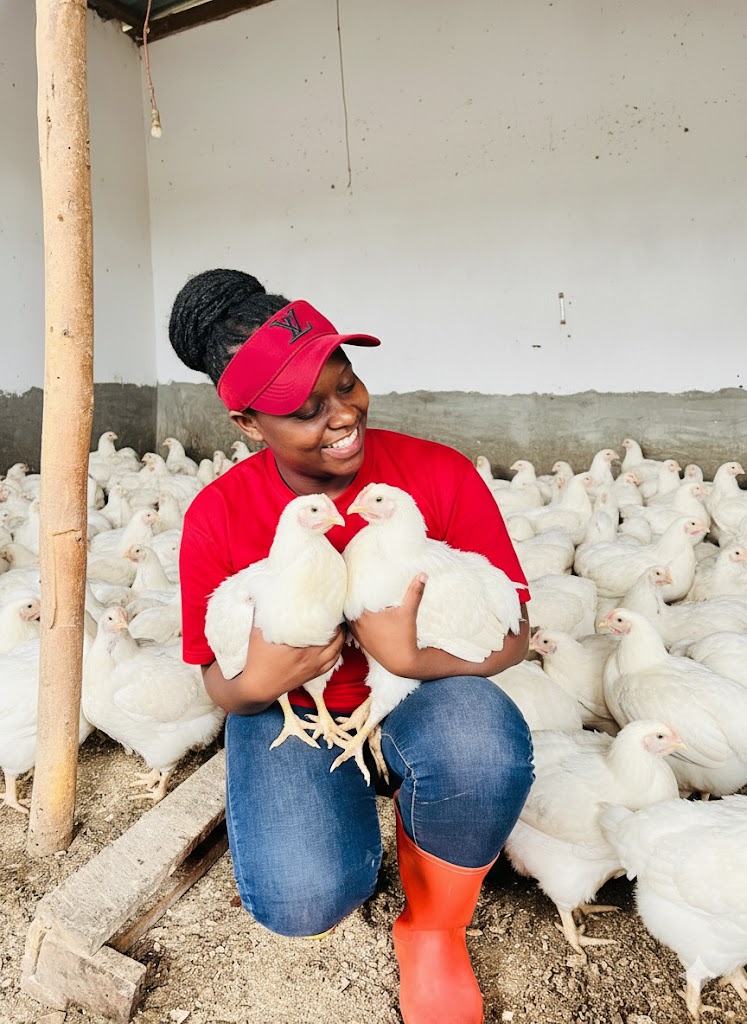 Gil_Niyonkuru's tweet photo. In poultry farming, patience is profit and knowledge is power.
Learn daily, grow wisely, and watch your business thrive.
#FarmingIsLife
#FarmWithGilbert
#NoFarmsNoFoods