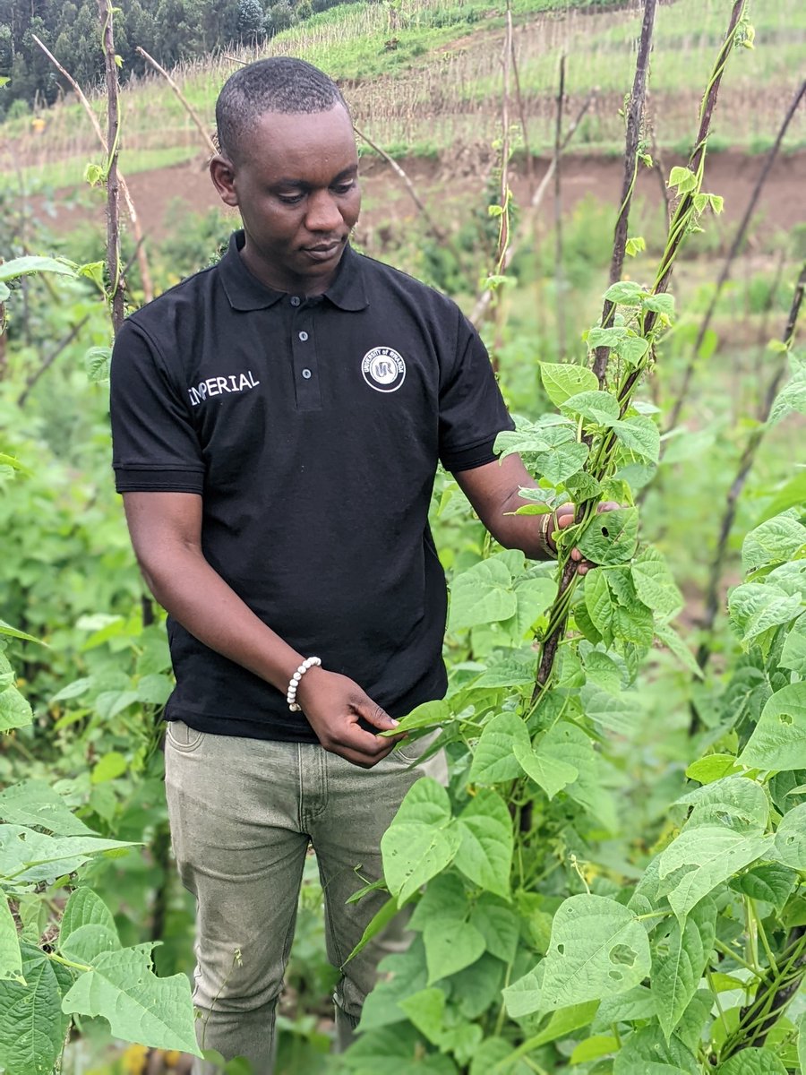 Gil_Niyonkuru's tweet photo. In poultry farming, patience is profit and knowledge is power.
Learn daily, grow wisely, and watch your business thrive.
#FarmingIsLife
#FarmWithGilbert
#NoFarmsNoFoods
