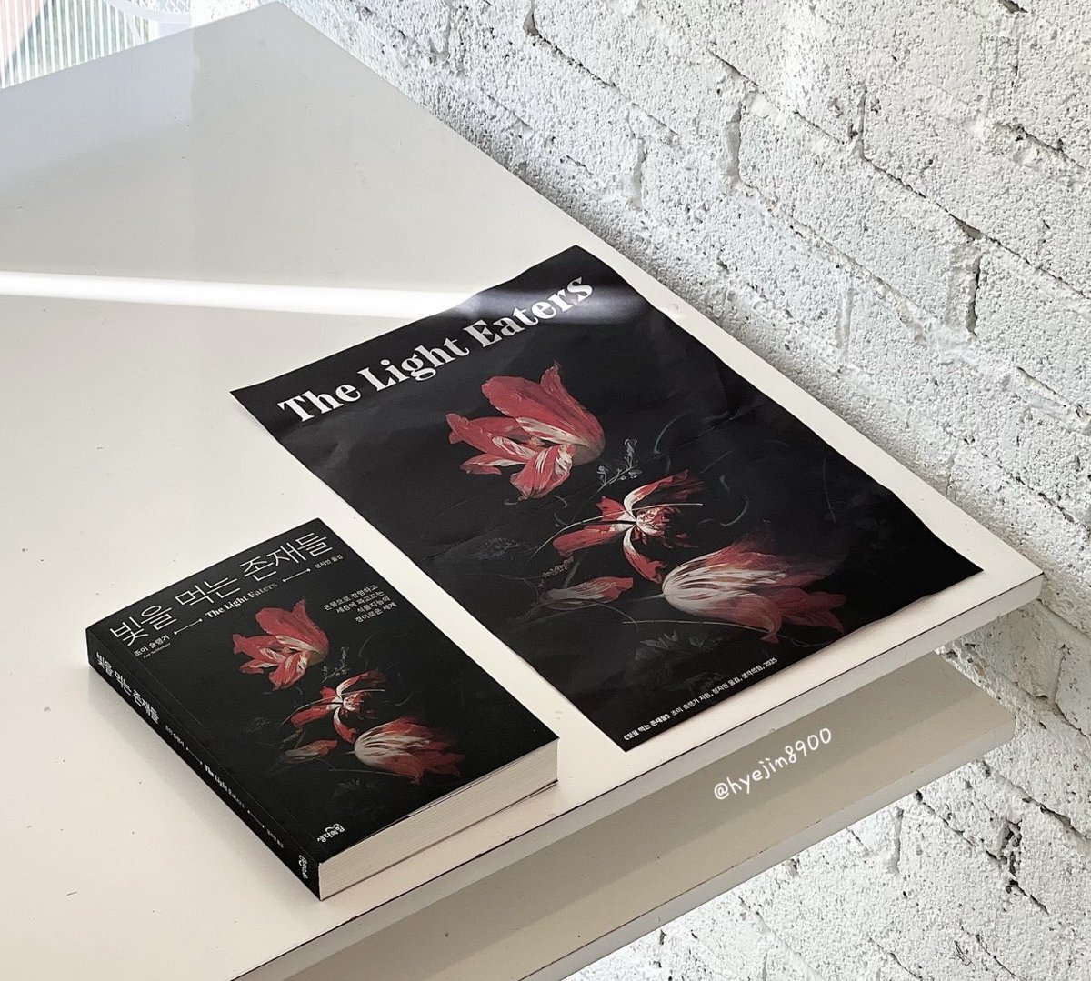 만약 ‘식물’도 인간의 오감으로는 상상하기 어려운 그들만의 방식으로 서로 소통하고 있다면? 식물 지능에 관심이 많다. 그래서 <뇌 없이도 생각할 수 있는가>를 인상깊게 읽었고, 이번에 나온 <빛을 먹는 존재들>도 기대 중이다. 초판 한정으로 받을 수 있는 뒤집힌 꽃다발 포스터도 너무 아름답다!!