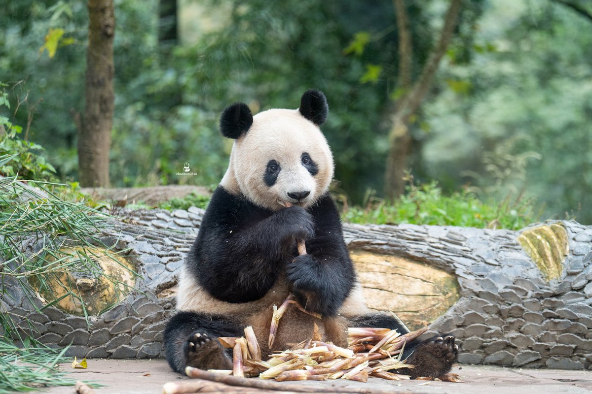 ﾁｬｵ CHAOKUN0610 on X