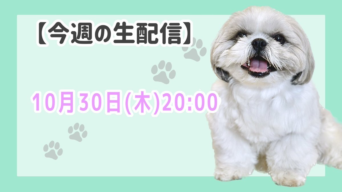 みんとてぃー ミント 🐣🐣🐣 (@mintolove3227) / Posts / X