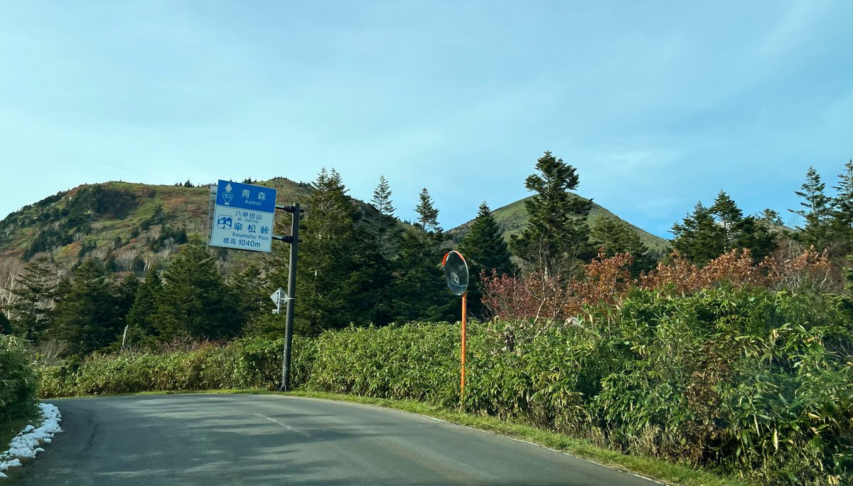 しばりん (@shiba_rin_) / Posts / X