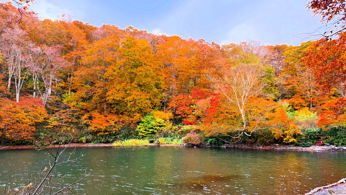 jimnylifejp's tweet photo. 紅葉を眺めに、蔵王の中央高原にある独鈷沼へ。

蔵王は春夏秋冬、いつ来ても素晴らしいです。

#蔵王 
#独鈷沼 
#蔵王中央高原 
#蔵王の紅葉 https://t.co/3rp5Cfm4Ru