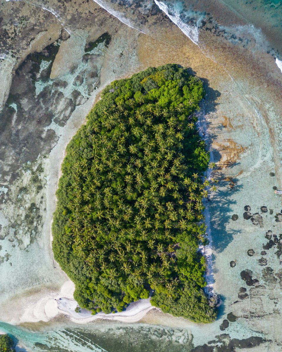 A little slice of paradise — where the trees sway, the water sparkles, and everything just feels right. 💙🌴

#islandrooms #staylocal #maldivesgetaways #visitmaldives