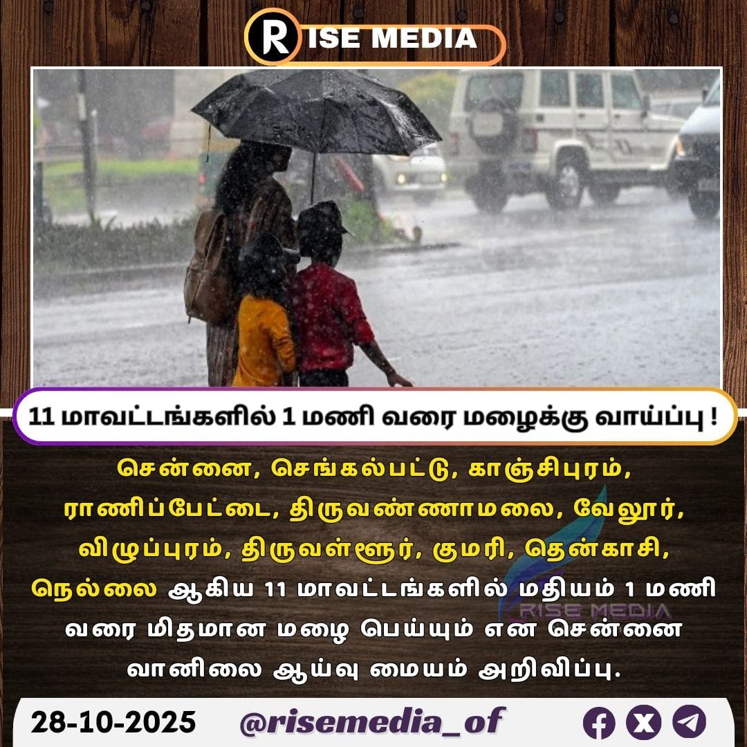 Rise Media tweet media