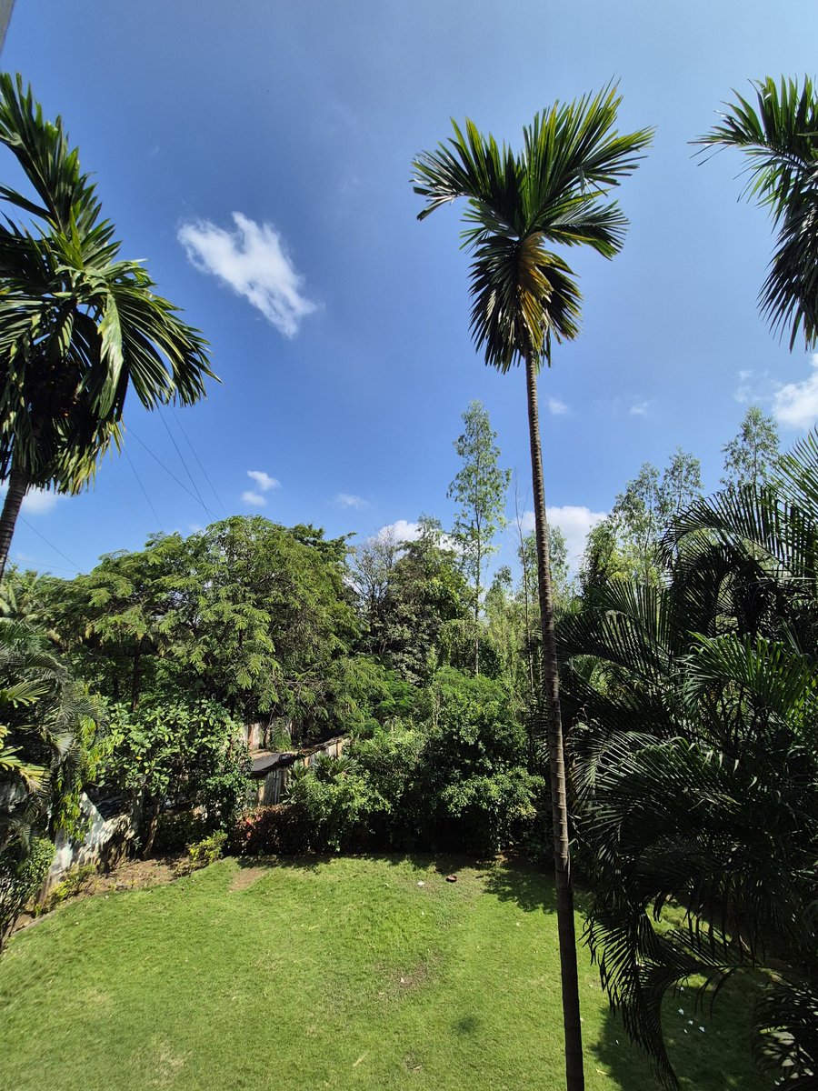 Weather is weathering today.