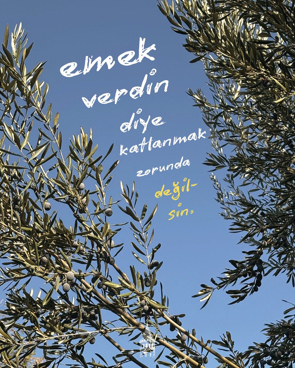 “Emek verdin diye katlanmak zorunda değilsin.” ❤️