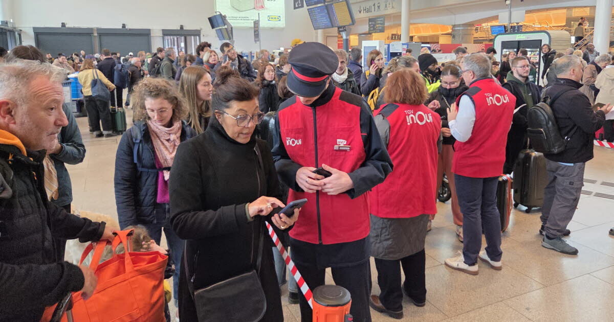 leprogreslyon's tweet image. 🚅 « C'est comme une fourmilière » : après ce #lundi noir, comment la #SNCF gère les situations de #crise sur les rails et dans les #trains

➡️ l.leprogres.fr/L9j