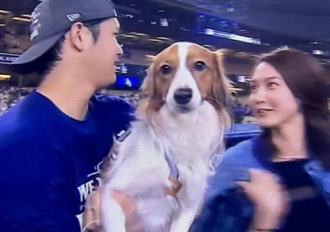 yk who's up after yoshi