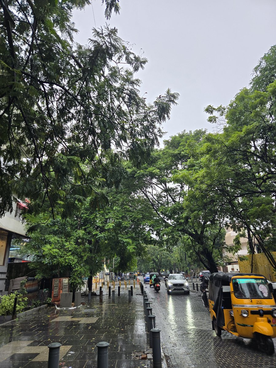 chennai feels good today