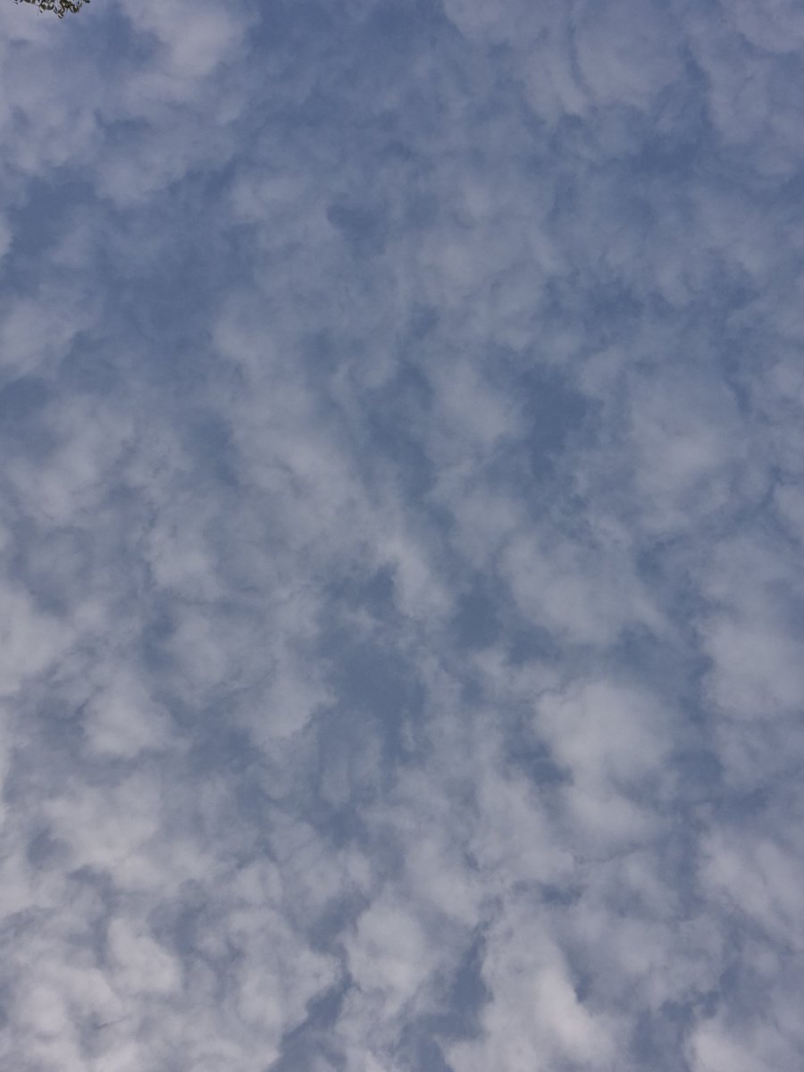 Cloud was not properly clouding today morning.