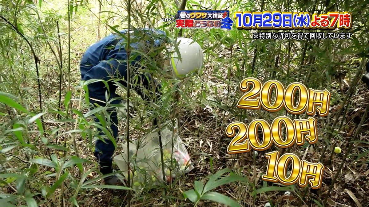 dounanokai's tweet image. ゴルフ場でなくなった“ロストボール”⛳️
回収すればお金になる⁉️💴

#KEYTOLIT の #佐々木大光 が
カラダを張ってボールを集めまくる💪
最終的な金額はどうなったのか？

#それって実際どうなの会