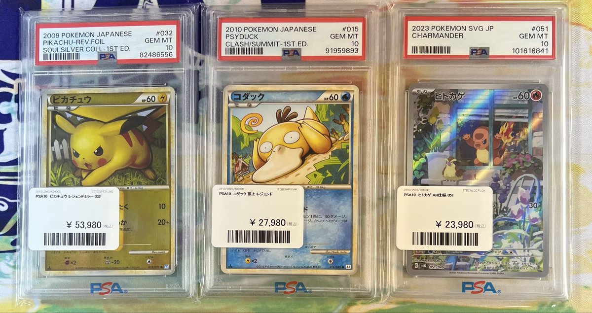 GradedGuard 限定色　2色 PDG Collector's Shop 秋葉原 on X