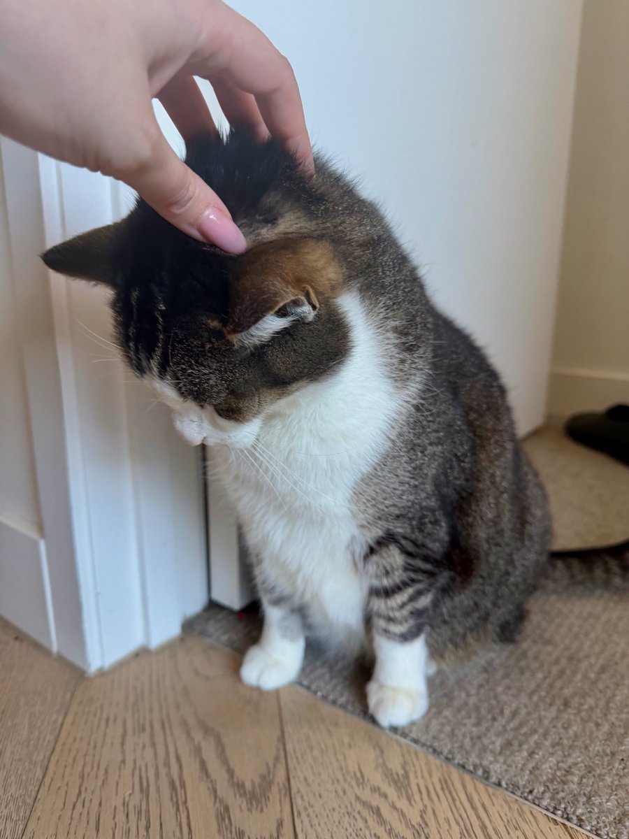 1 like = 1 head scritch for the boy