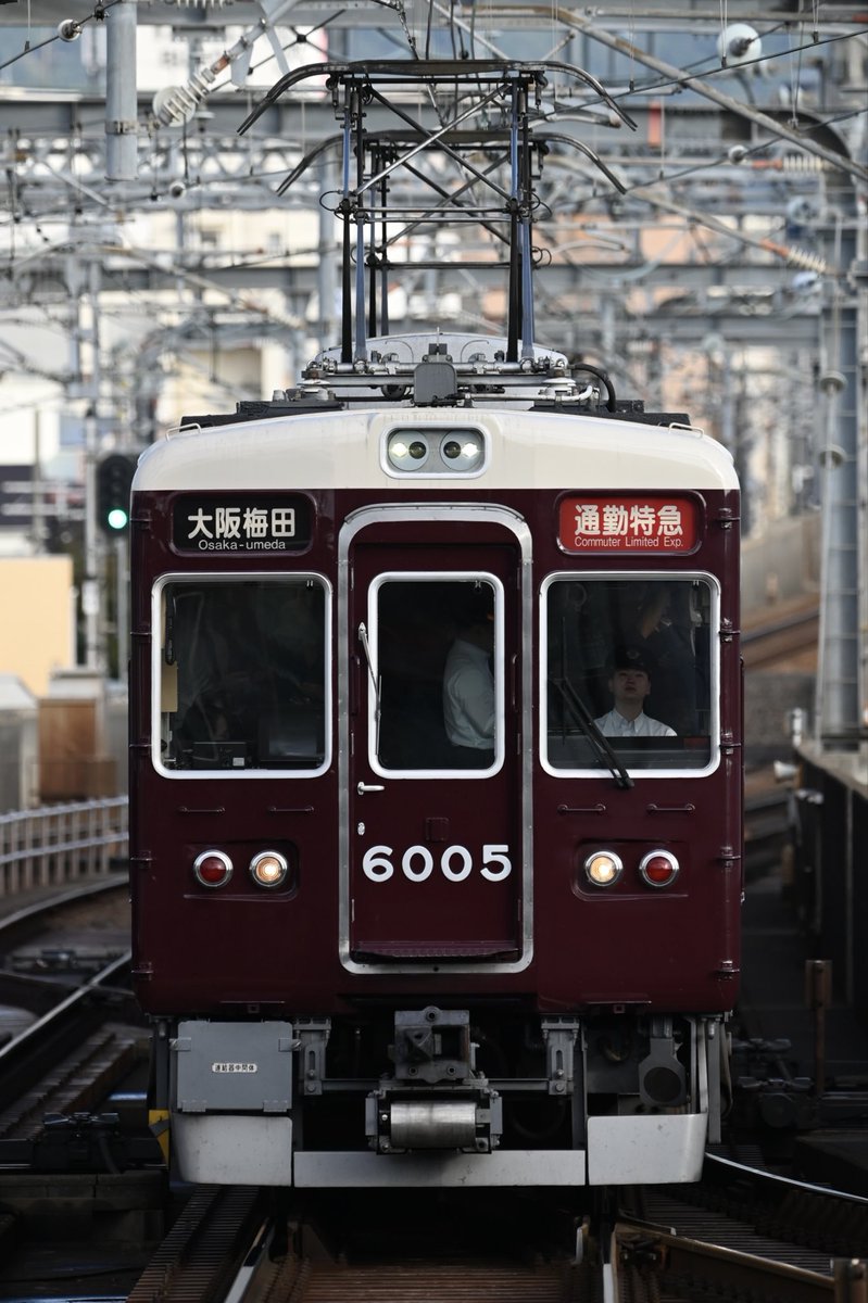 自称メロンの王🌸🌽🌲🧪 on X