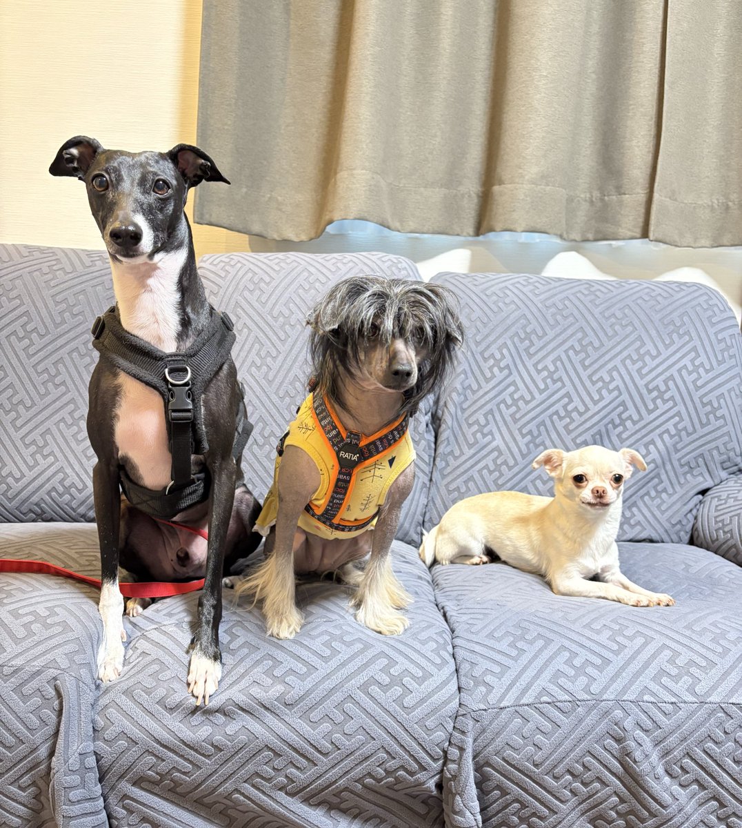 さや【プロフ確認推奨】 専用 🧸