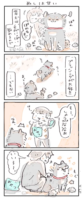 #4コマ漫画 #柴犬
ぬしは甘い 