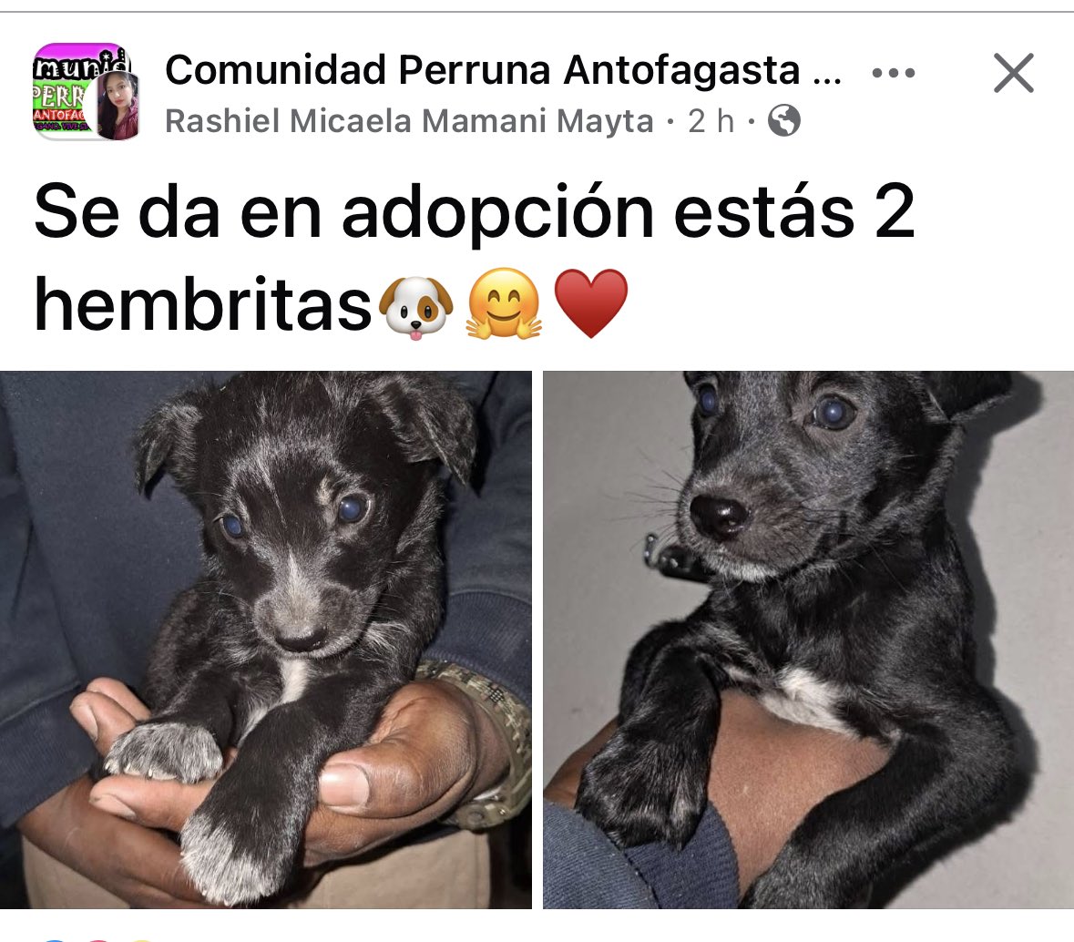 🚨🚨🚨🚨🚨🚨🚨🚨🚨🚨🚨🚨🚨#Antofagasta