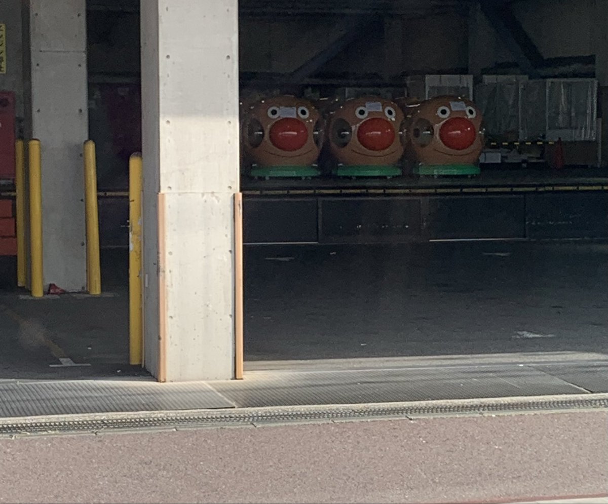 なんか視線を感じると思ったんだ😃 (🔴 ̍̑🟠 ̍̑🔴)へへ♥️