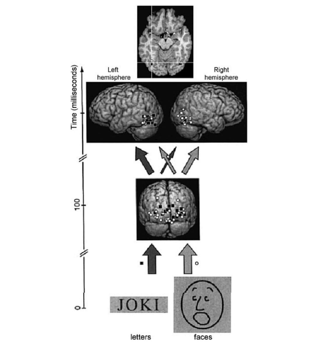命と脳 命と脳』西田文郎 命と脳 | 西田文郎 |本 | 通販 |