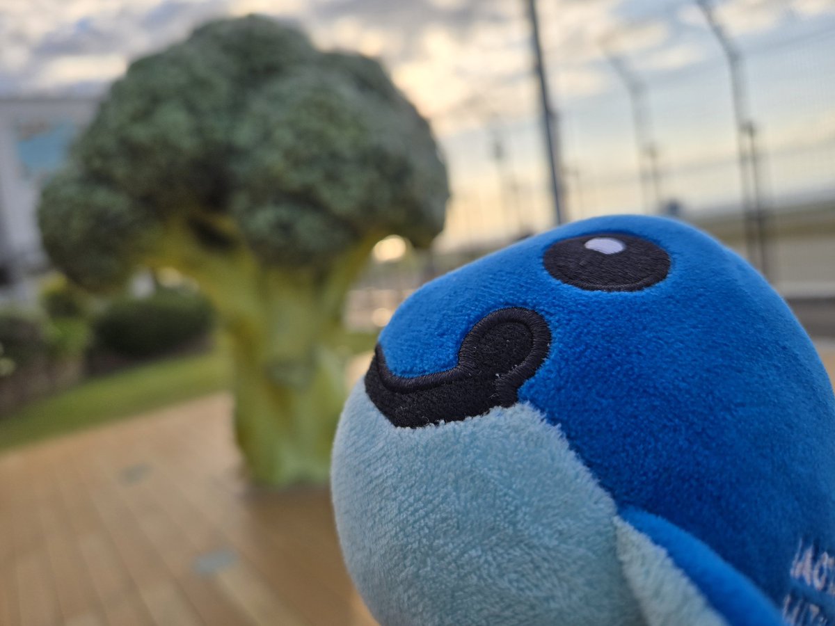 おでんでん おでんが好きなでんでん✨🍢🐌💕 on X