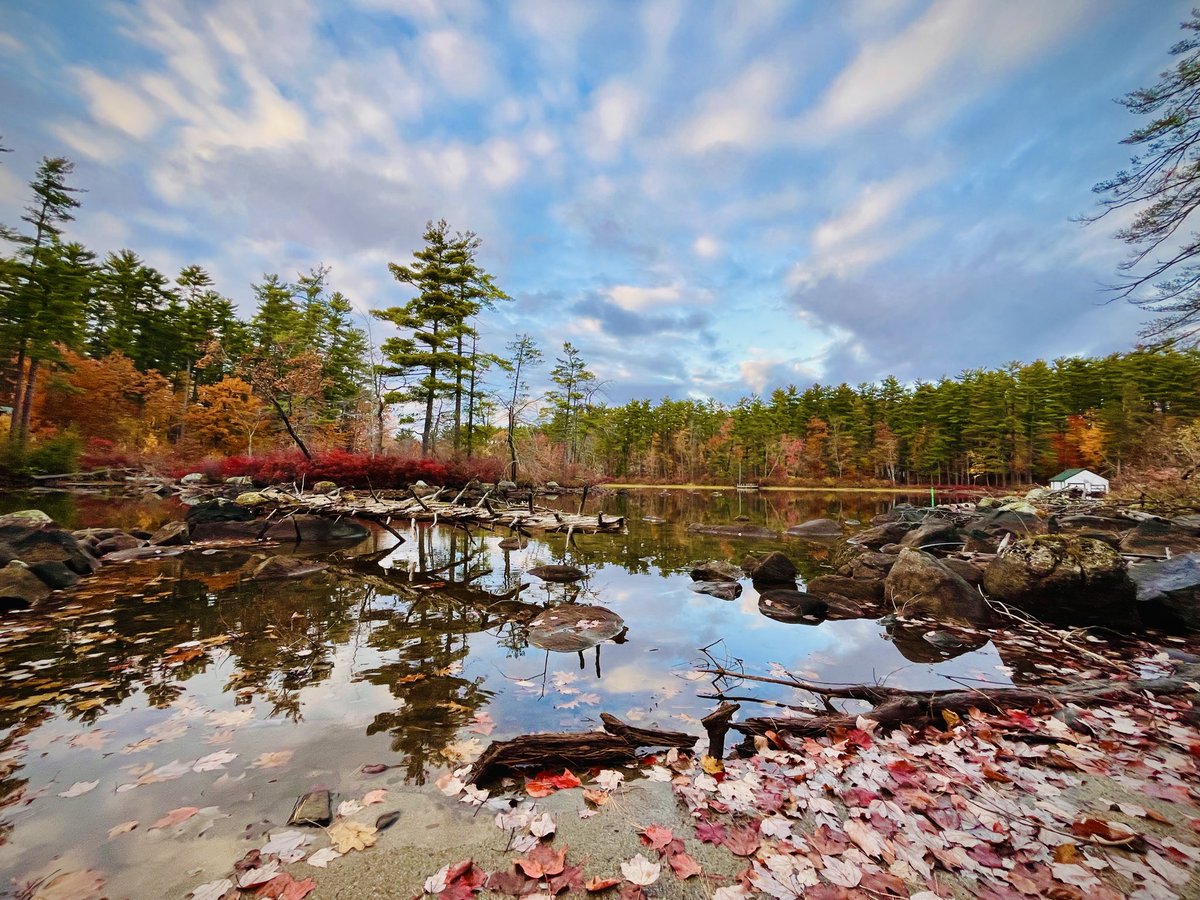 suspended
between breaths