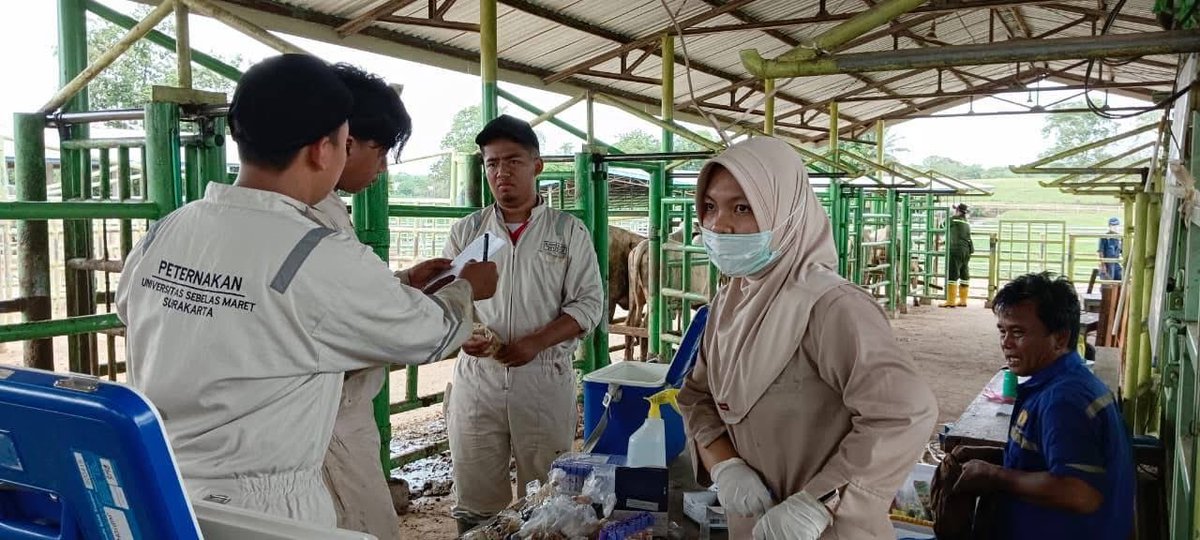 Ditjen Peternakan dan Keswan tweet media