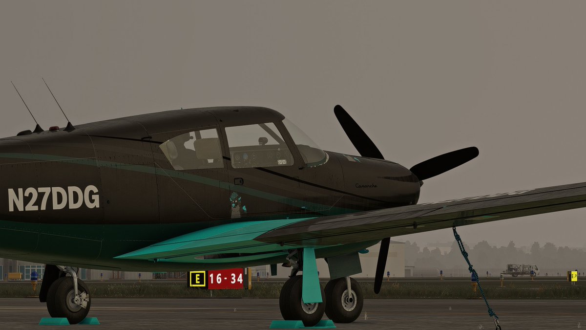 dashydoggo's tweet image. omg