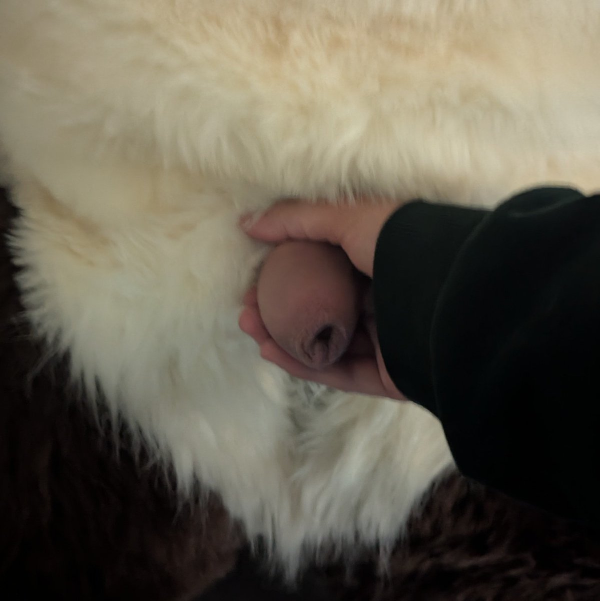 That_Iode's tweet photo. a most gentlemanly handshake. https://t.co/Dlvi4qd3HB