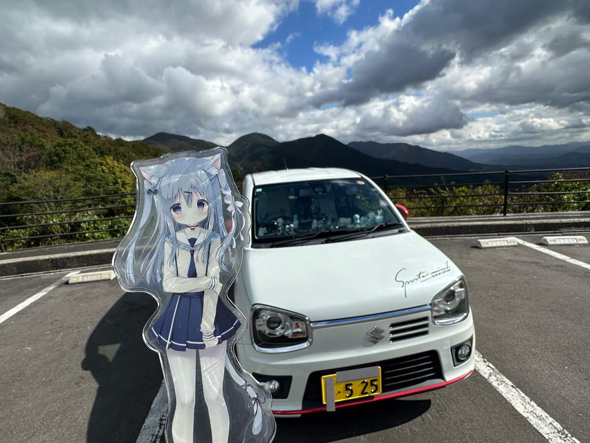 ぎこちゃん 🐈🐾 on X