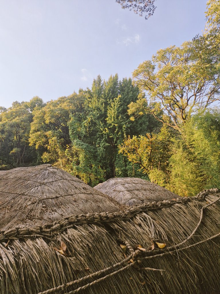 은교랑 이케아 갔다가 야하게 놀고
싶은데 그렇게 노는법을 까먹음