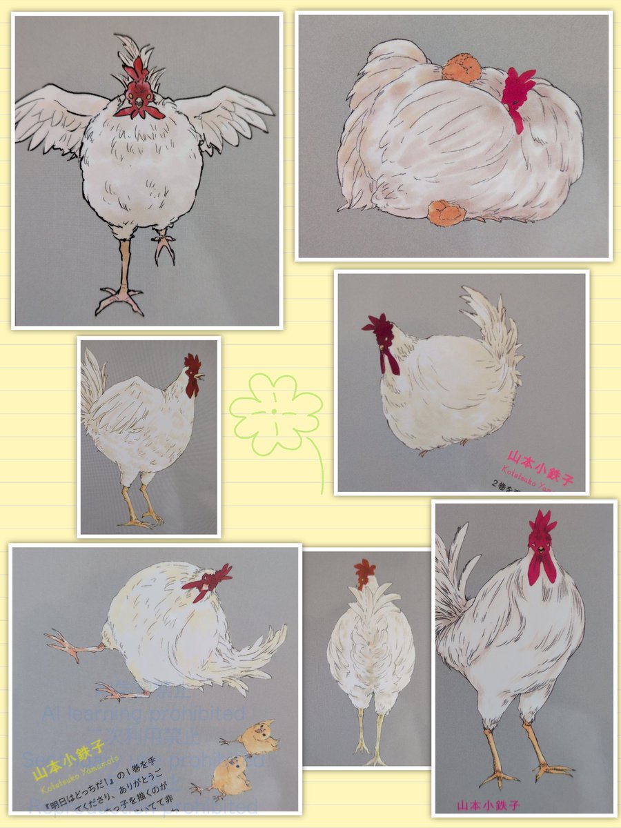 けいつん様 vam🐰 ぴょ～ん🐰 on X