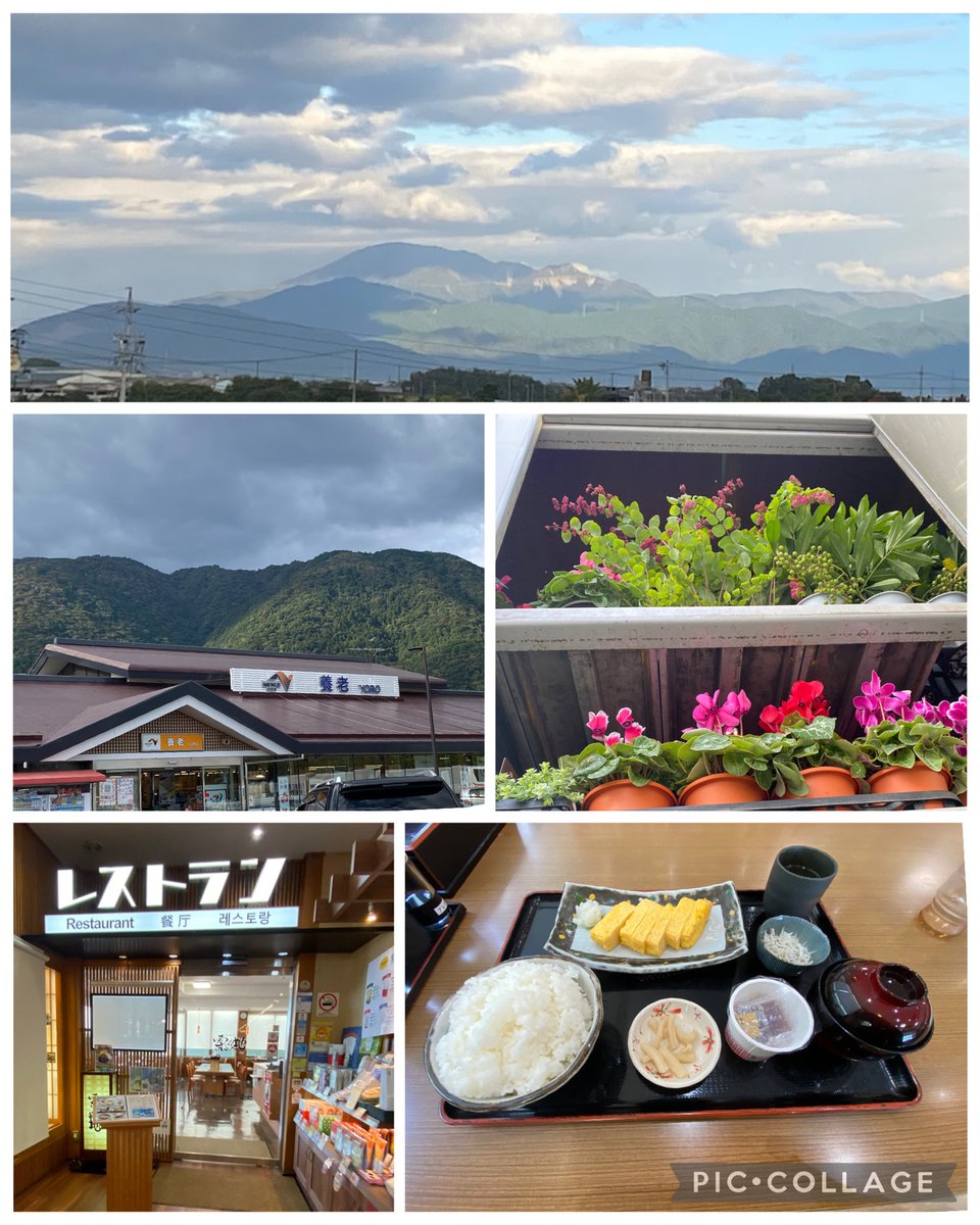 のんきげんきページ のんきー 🌷🚚💨 on X