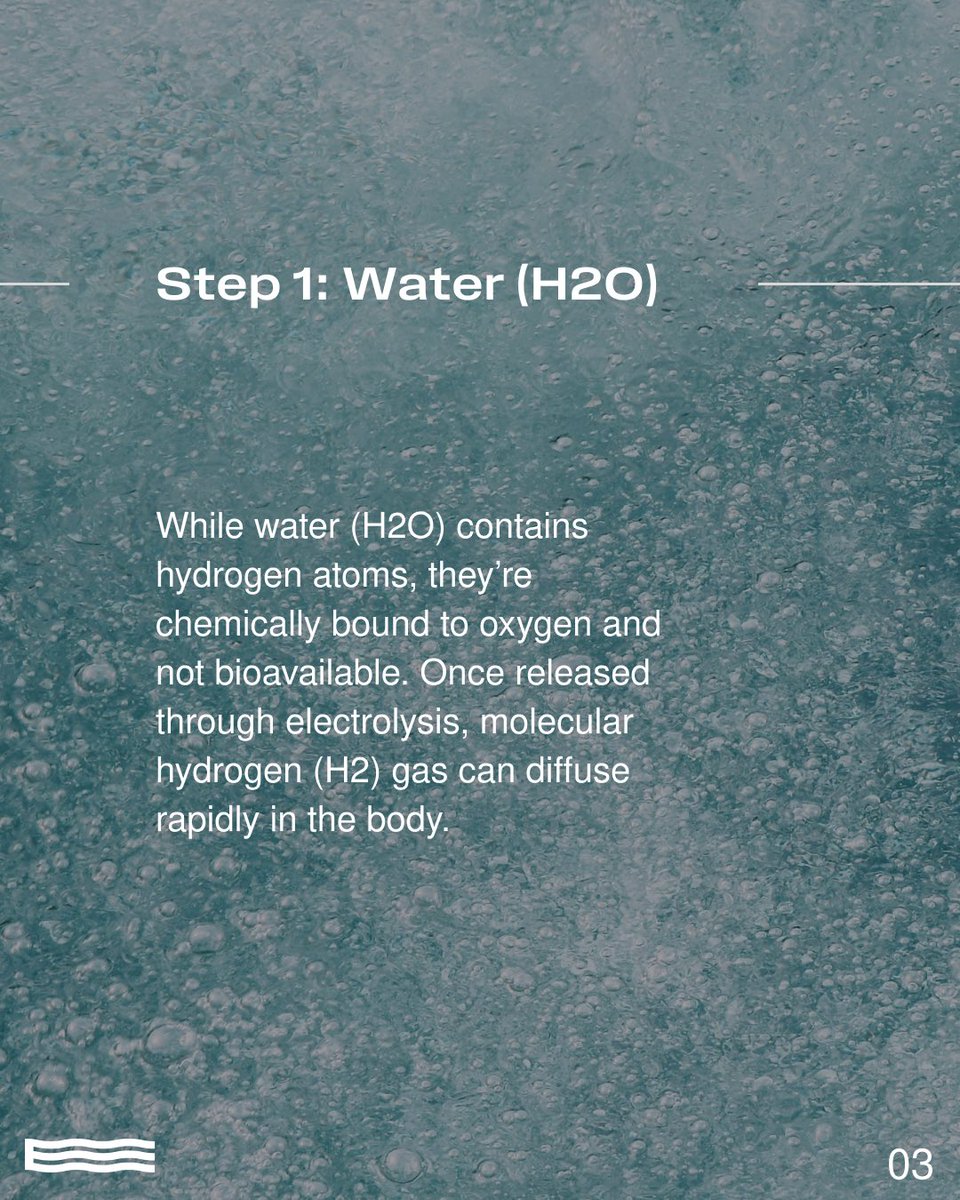 Echo Water tweet media