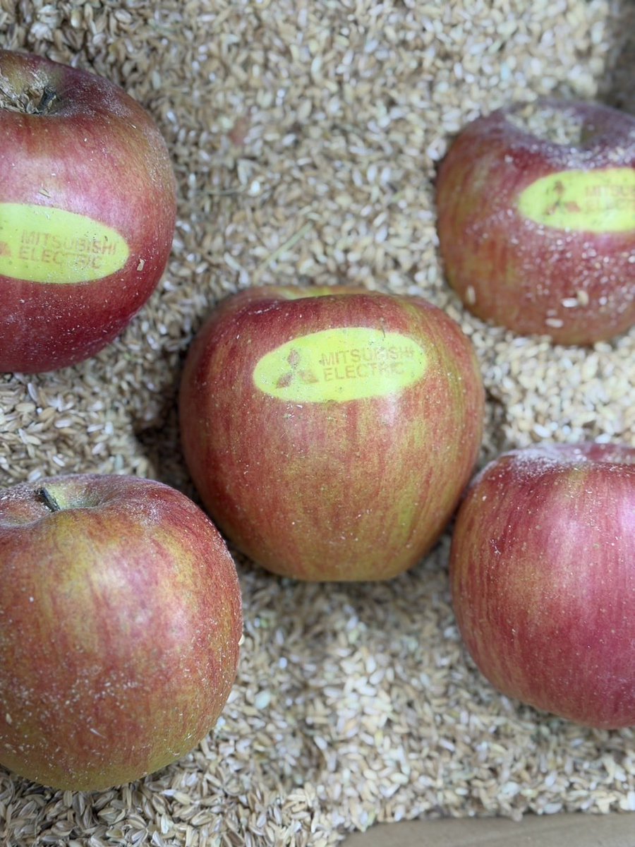 りんごページ 杉本電機産業株式会社 on X