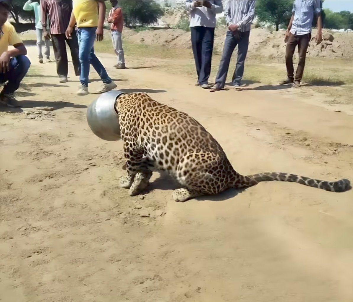 कभी-कभी, बहुत से लोग तुम्हारी मदद करना चाहते हैं
मगर तुम्हारी फ़ितरत और रवैये की वजह से वो ऐसा नहीं करते इसलिए हमेशा विनम्र रहो,
क्योंकि अच्छा स्वभाव ही वो दरवाज़ा है जहाँ से मदद अंदर आती है। 
सुप्रभात💥