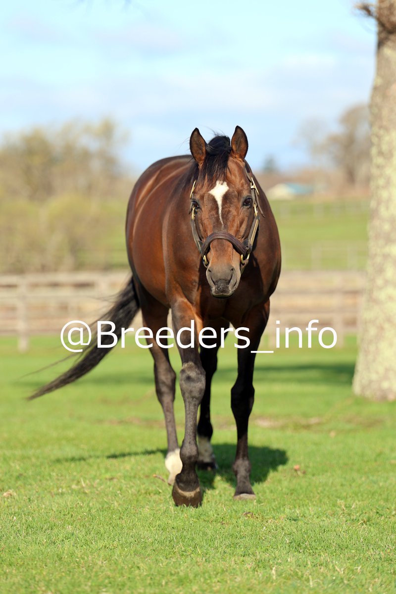 ププにゃん (@pupunyan6826) / Posts / X