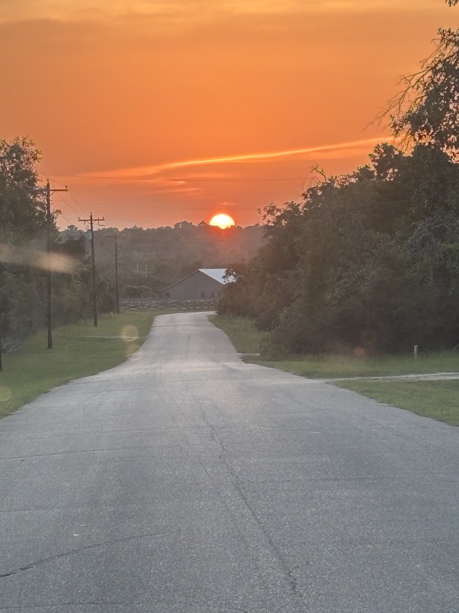 Mike August tweet media