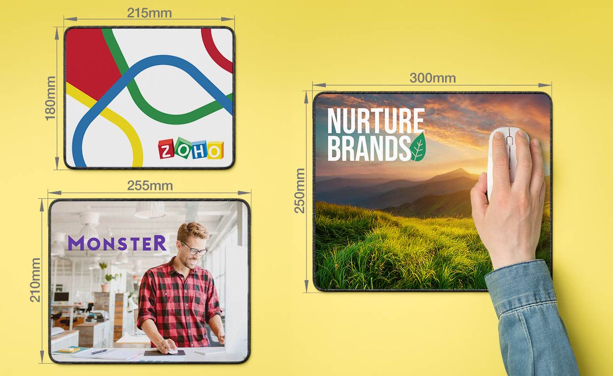 Flashbay tweet media