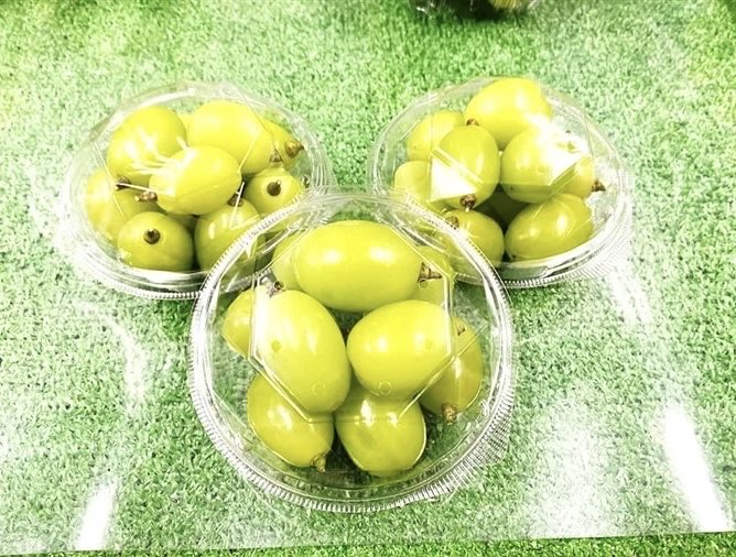 ／
JAタウン「越中自慢」より
桃山ぶどう園シャインマスカット✨
をご紹介💁‍♀️📣
＼

桃山ぶどう園から人気のシャインマスカットをJAタウンにて販売中！

「訳あり品」ですが、味は通常規格のシャインマスカットと遜色ありません✨

この機会にぜひお試しください❣️

ja-town.com/shop/c/cnashi/