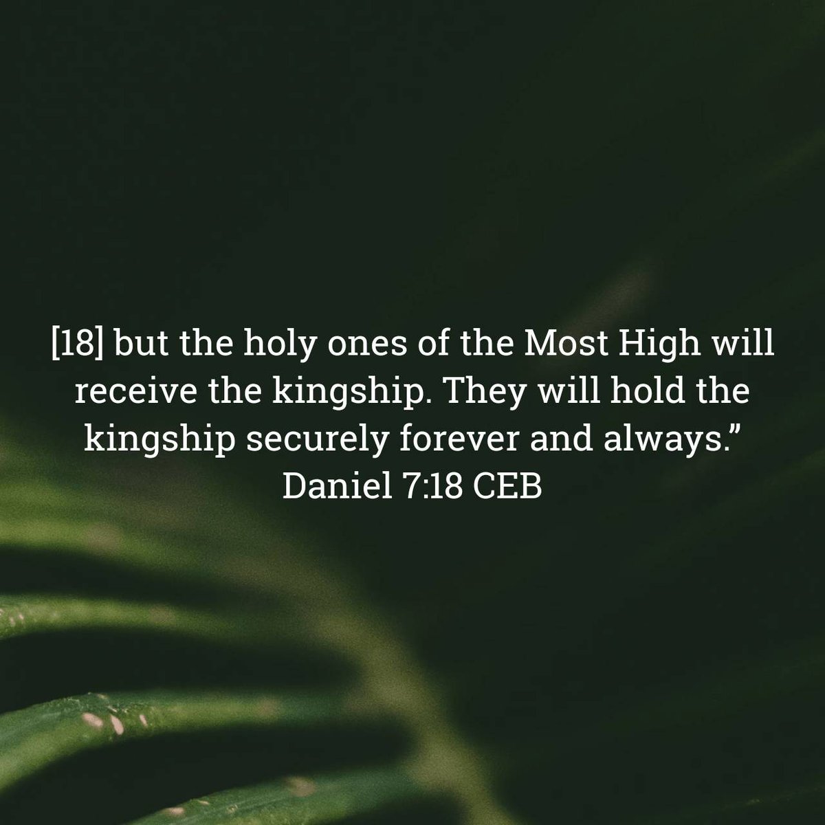 Lectionary's tweet image. Daniel 7:18 CEB
[18] but the holy ones of the Most High will receive the kingship. They will hold the kingship securely forever and always.”

bible.com/bible/37/dan.7… #AllSaints
