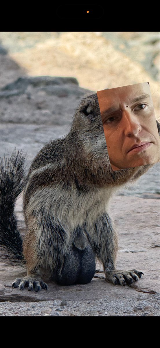 Poopybutt tweet media