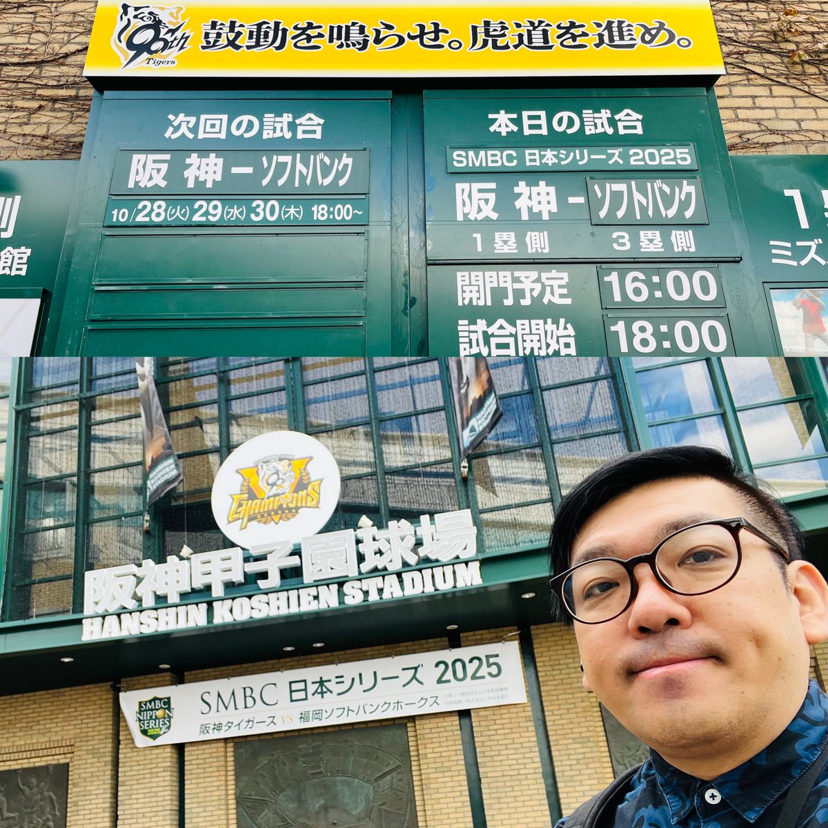 にこshopsさま専用ページ 183球 proedge プロエッジ 栄 SSK 硬式 キャッチャーミット 梅野モデル