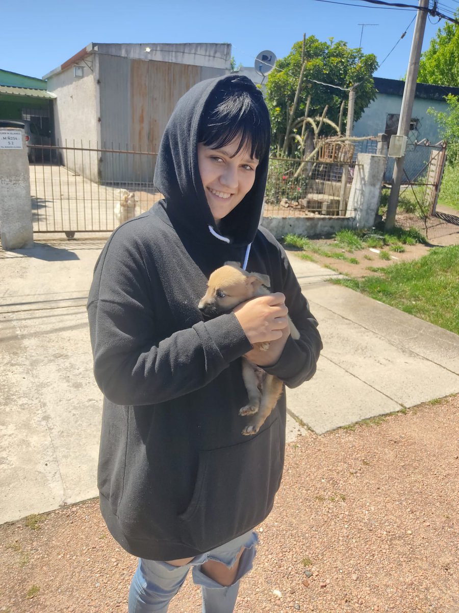 Adopciónes !!.en <a href="/LigaBichera/">Liga Bichera Montevideo Refugio</a> en las 3 jornadas simultáneas !!