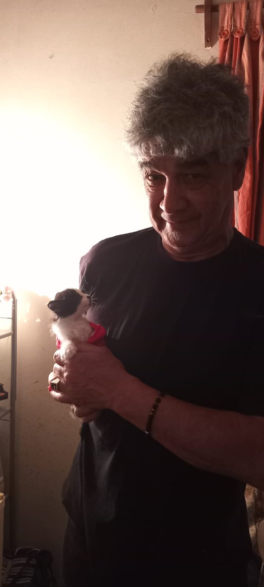 Giovanna Moreno (@giovann69231268) on Twitter photo 