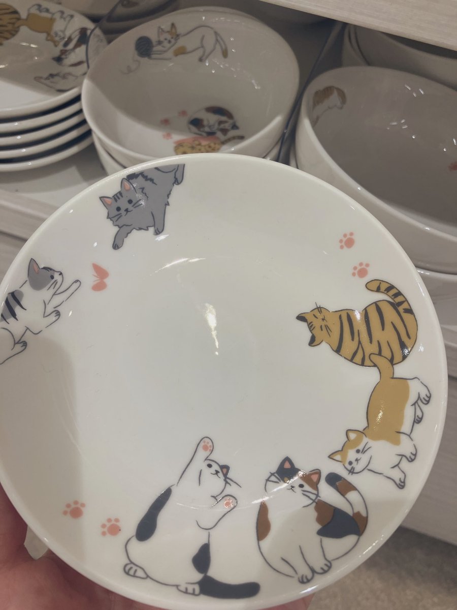 てつ@腎不全から解放😸 on X