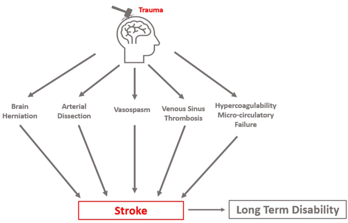 neurolint_mdpi's tweet image. Post-#Traumatic Cerebral Infarction: A Narrative Review of Pathophysiology, Diagnosis, and Treatment

The Review aims to highlight the importance of the condition and future clinical needs with the goal to improve patient outcomes after #TBI.
#stroke #TBI
mdpi.com/2035-8377/16/1…