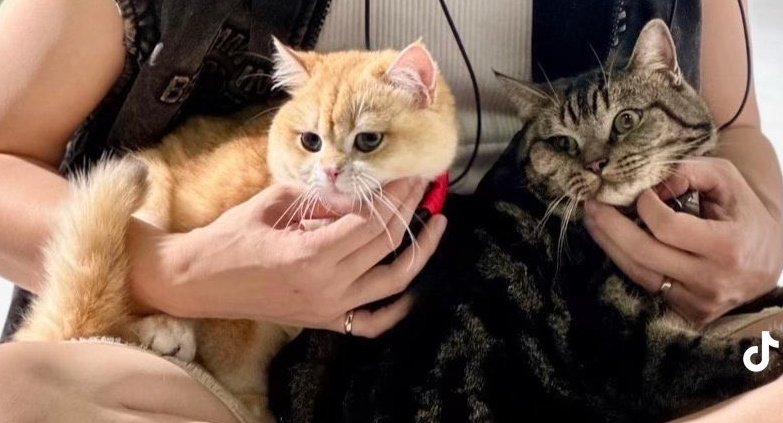 เด่กอ้วมฉองตุว 🥺