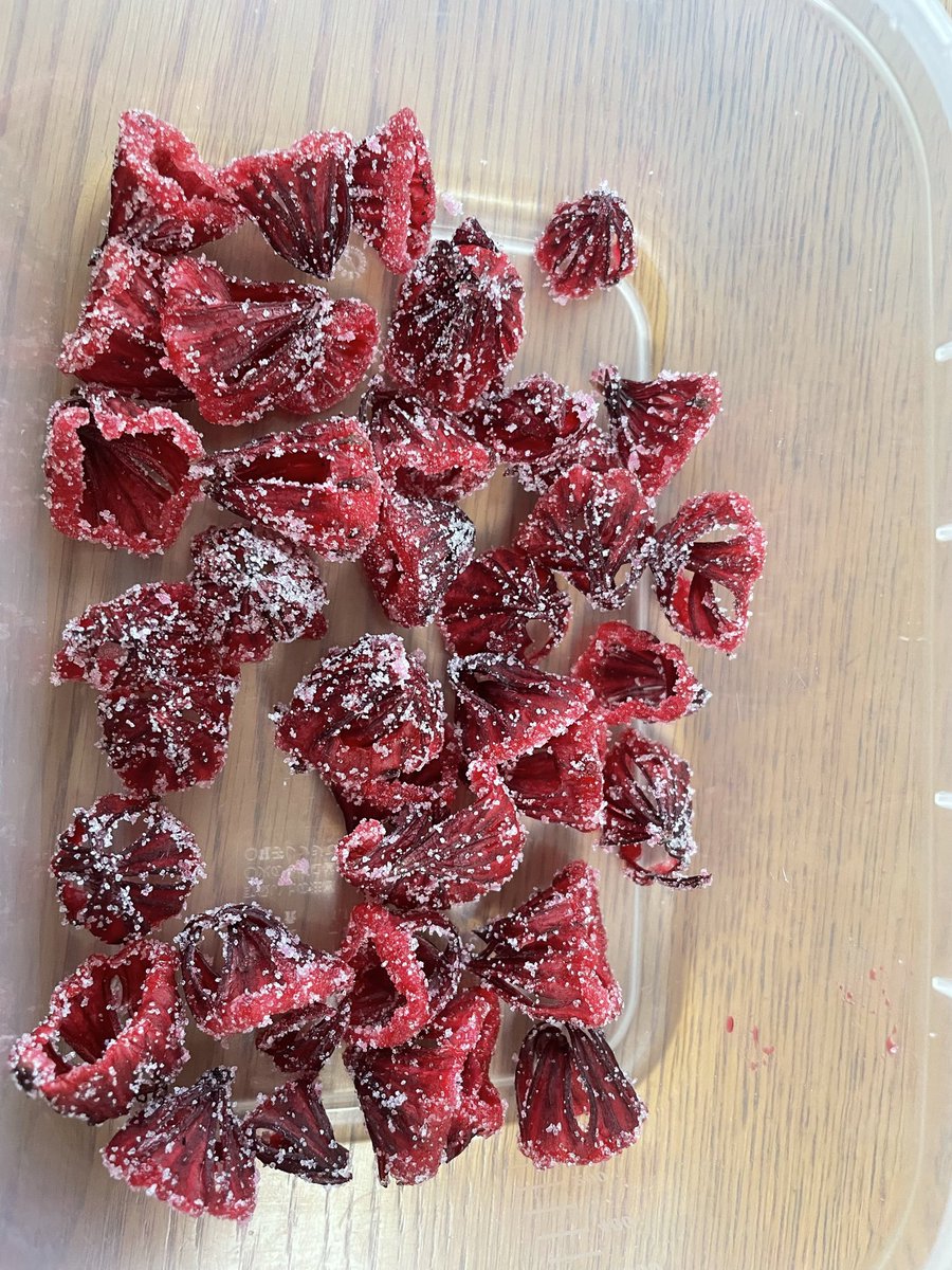 chixi753's tweet photo. ローゼル、セミドライを作ったのだけど、食べたことがないので正解かどうか分からない
赤紫蘇のジュースの味がする

 #ローゼル https://t.co/V6bNIX0trm